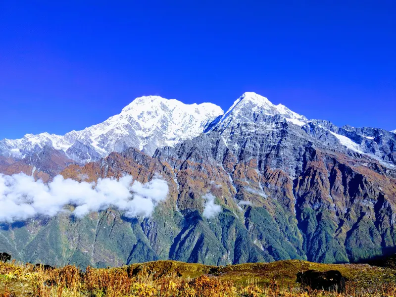 Mardi Himal Trek